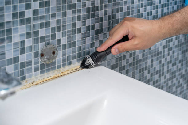 Best White Mold Remediation in Frenchtown, NJ